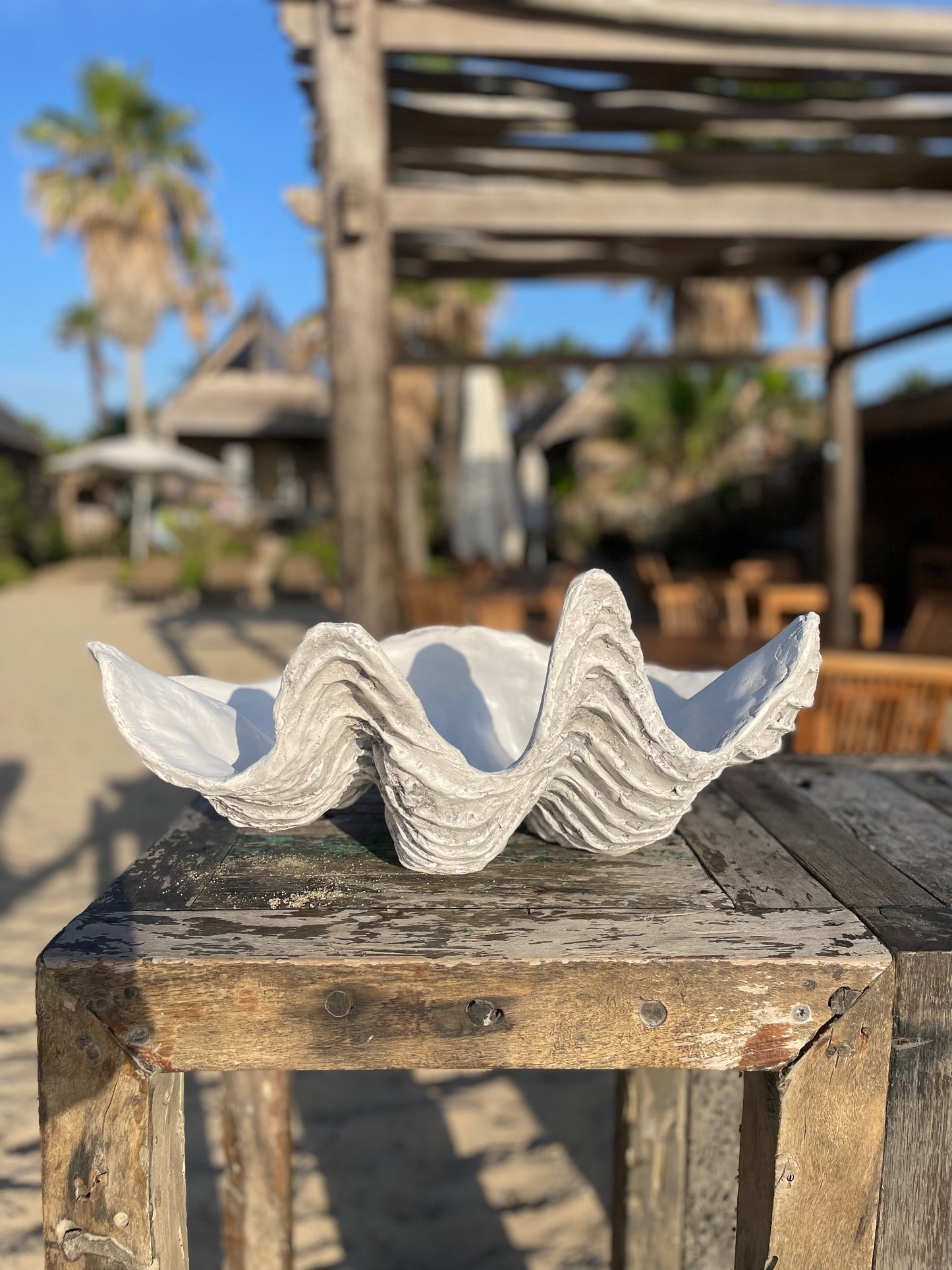 Serenity Giant Clam Shell in Driftwood Grey