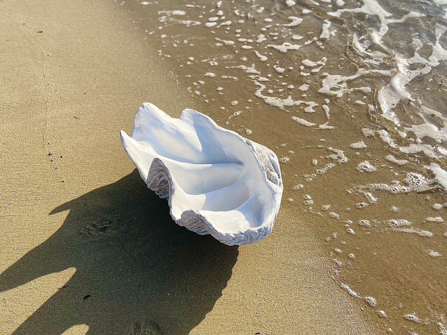 Serenity Giant Clam Shell in Driftwood Grey