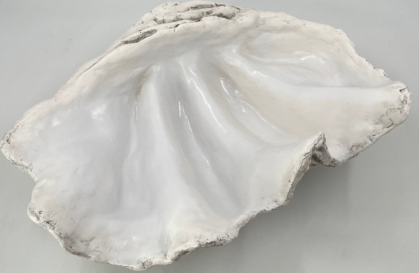 Serenity Giant Clam Shell in Driftwood Grey