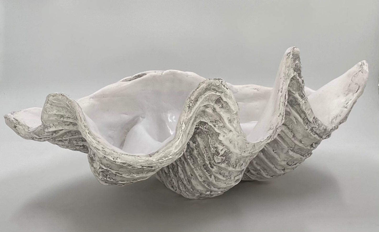 Serenity Giant Clam Shell in Driftwood Grey