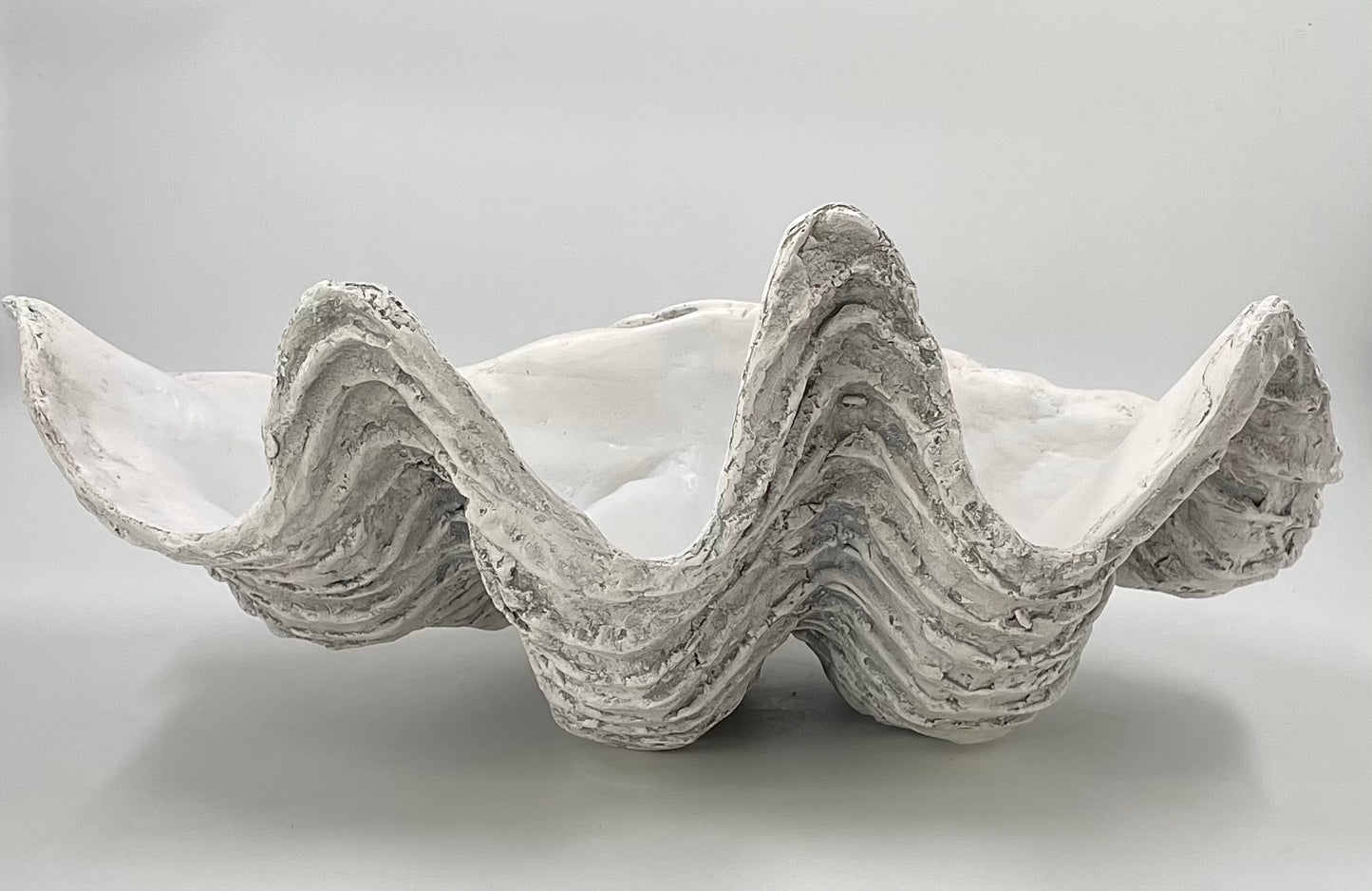 Serenity Giant Clam Shell in Driftwood Grey