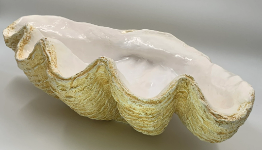 Scalloped Giant Clam Shell in Caramel