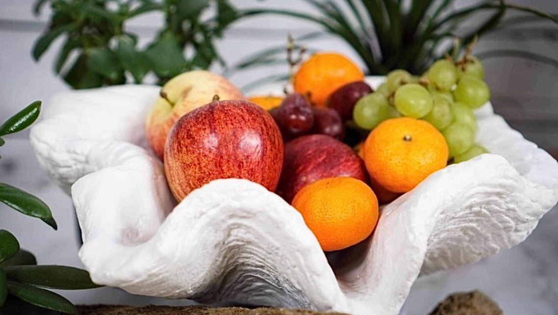 Petite Giant Clam Shell in White