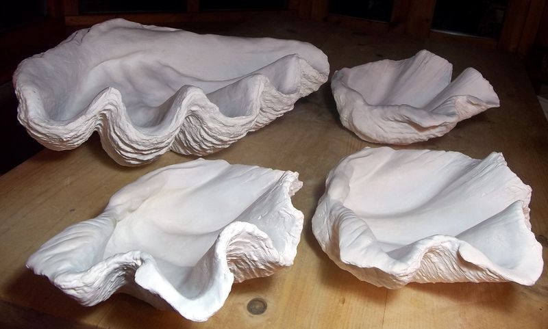 Extra Large Giant Clam Shell in White