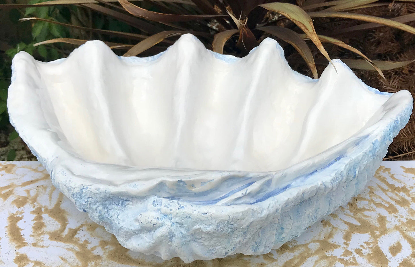 Scalloped Giant Clam Shell in Sky Blue