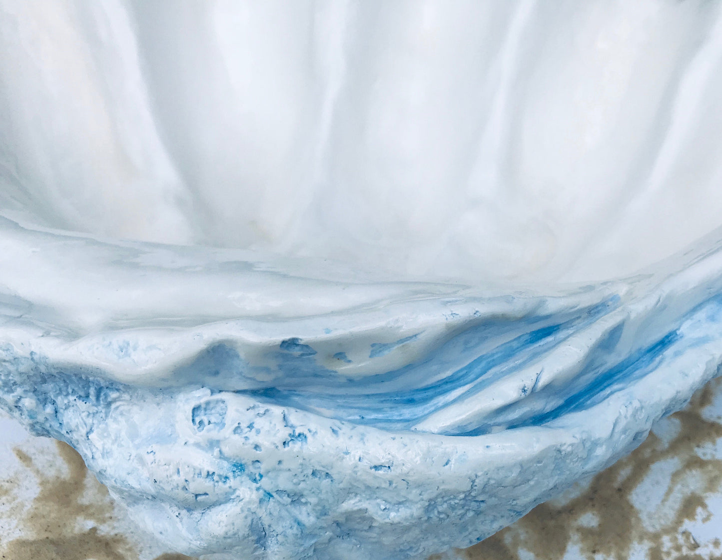 Scalloped Giant Clam Shell in Sky Blue