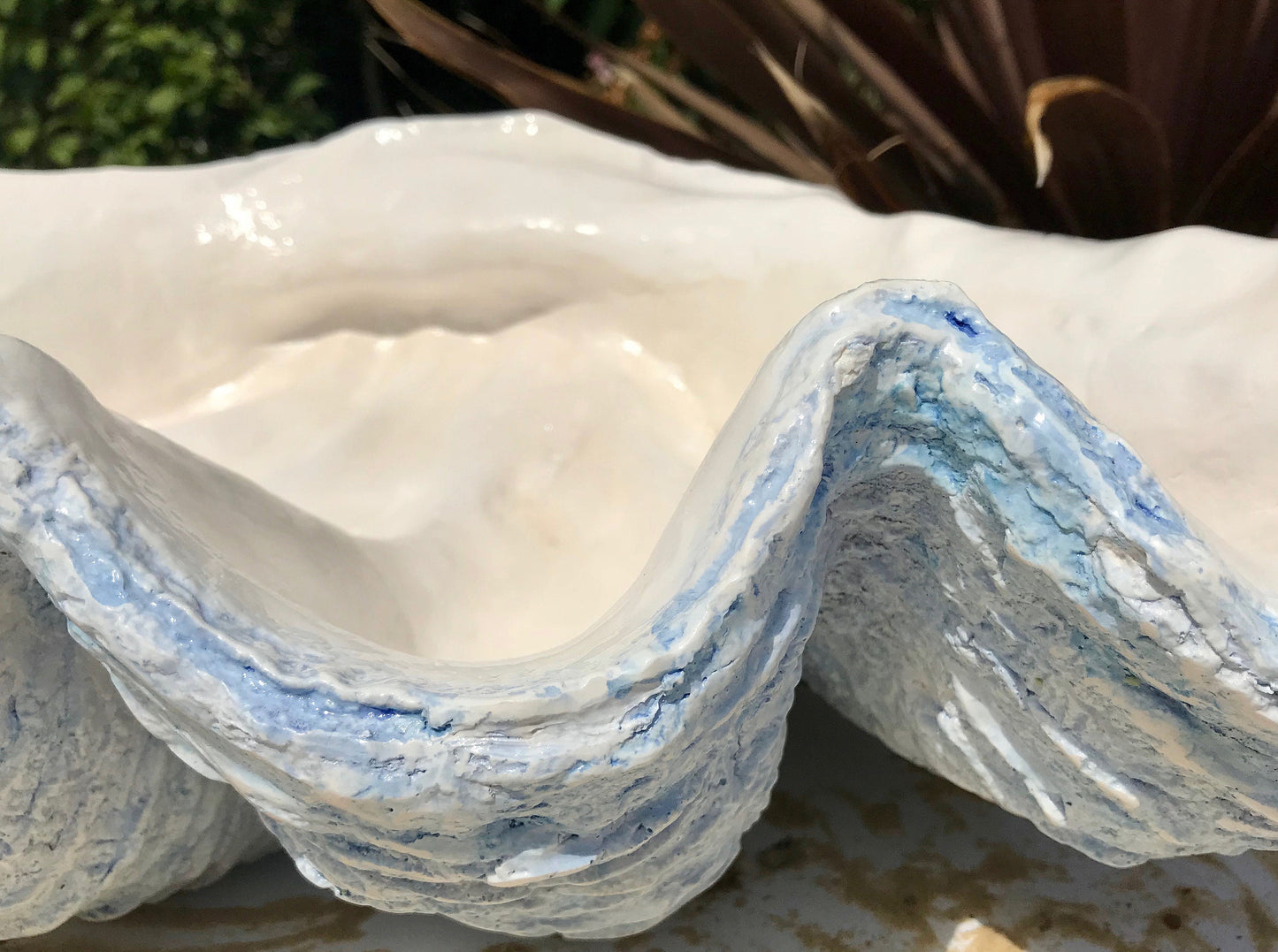 Scalloped Giant Clam Shell in Sky Blue