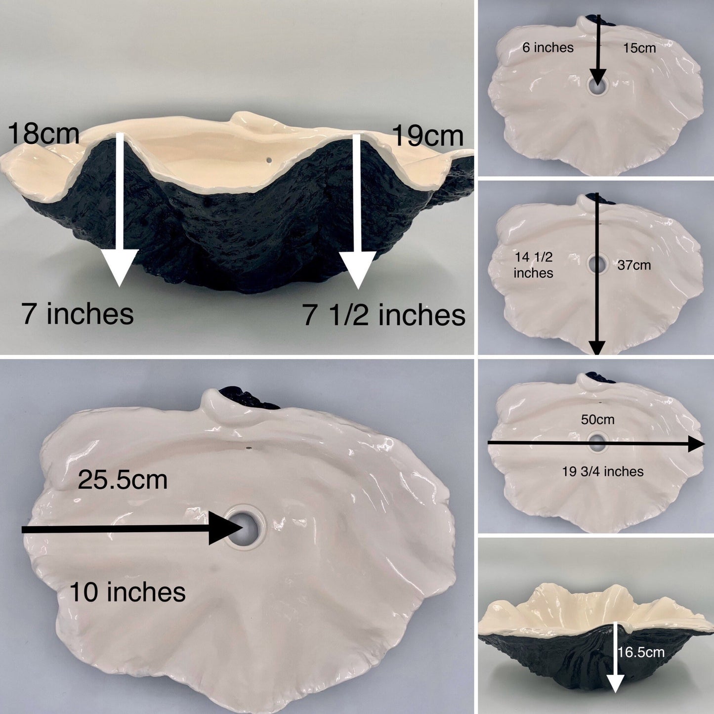 Small Clam Shell Sink in Pure White