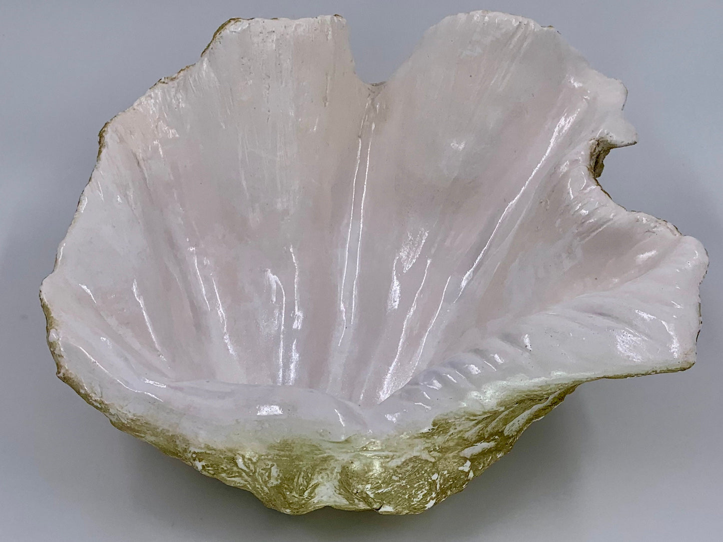 Petite Giant Clam Shell in Gold Fleck
