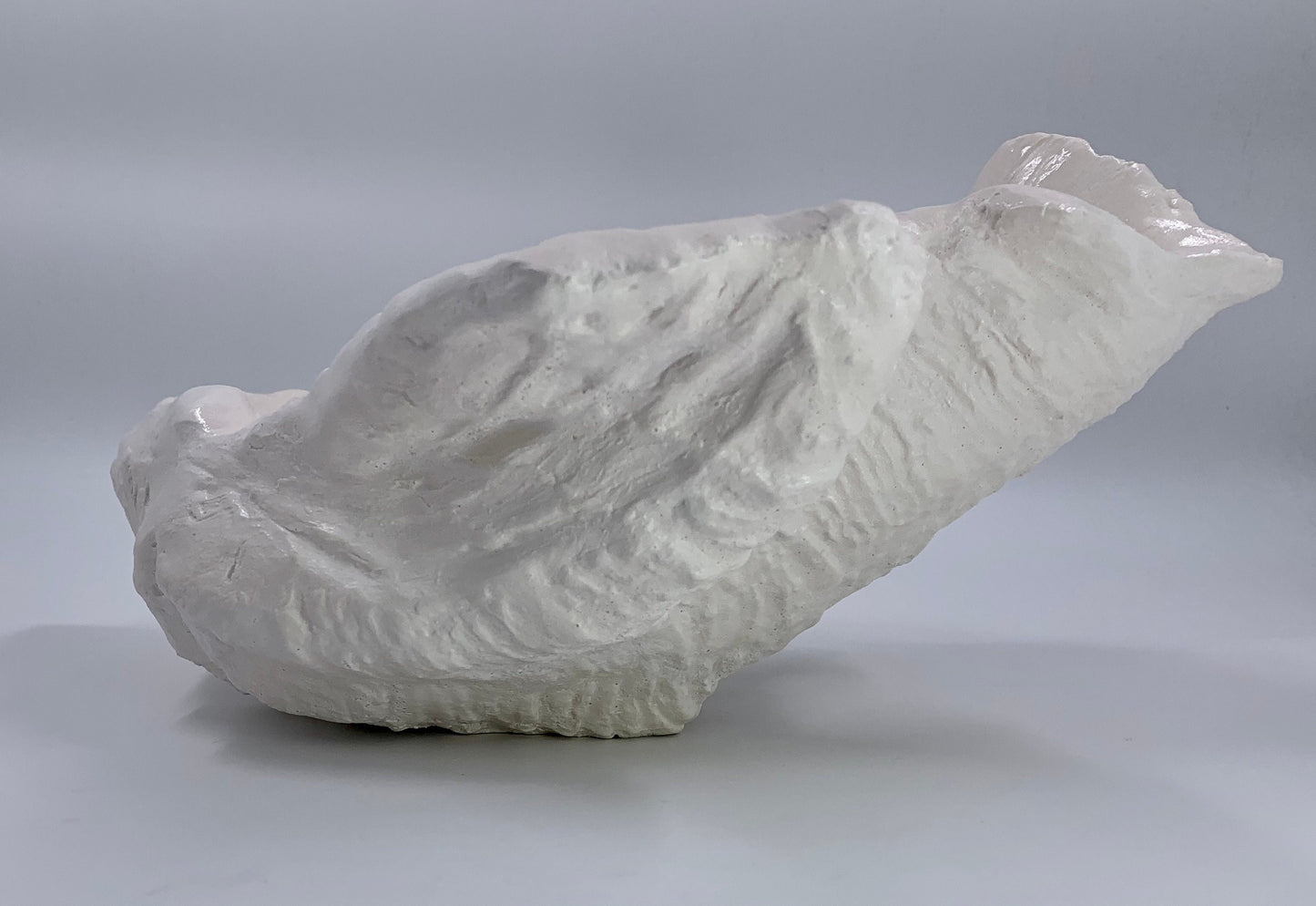 Petite Giant Clam Shell in White Shimmer