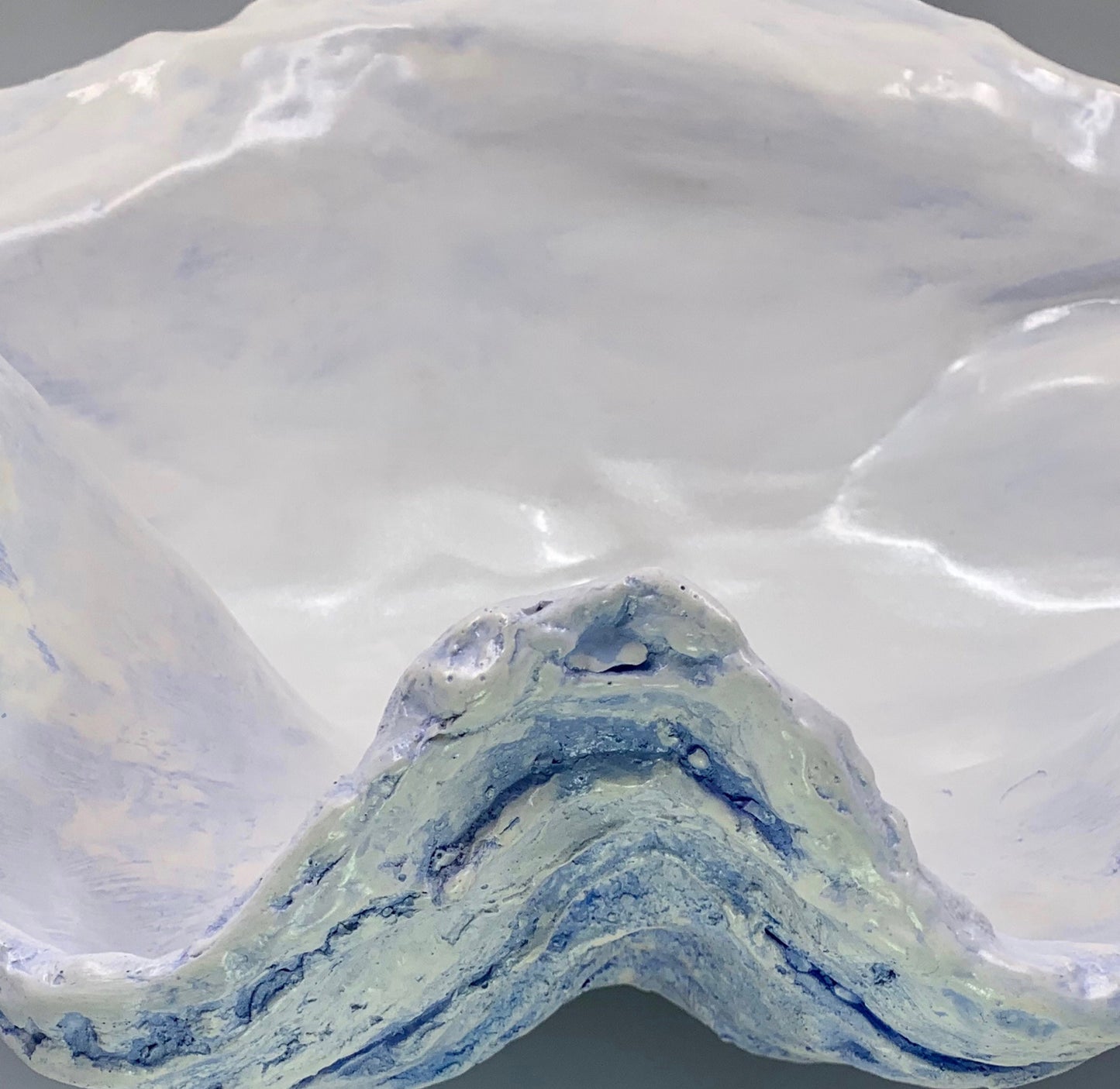 Extra Large Giant Clam Shell in Sky Blue