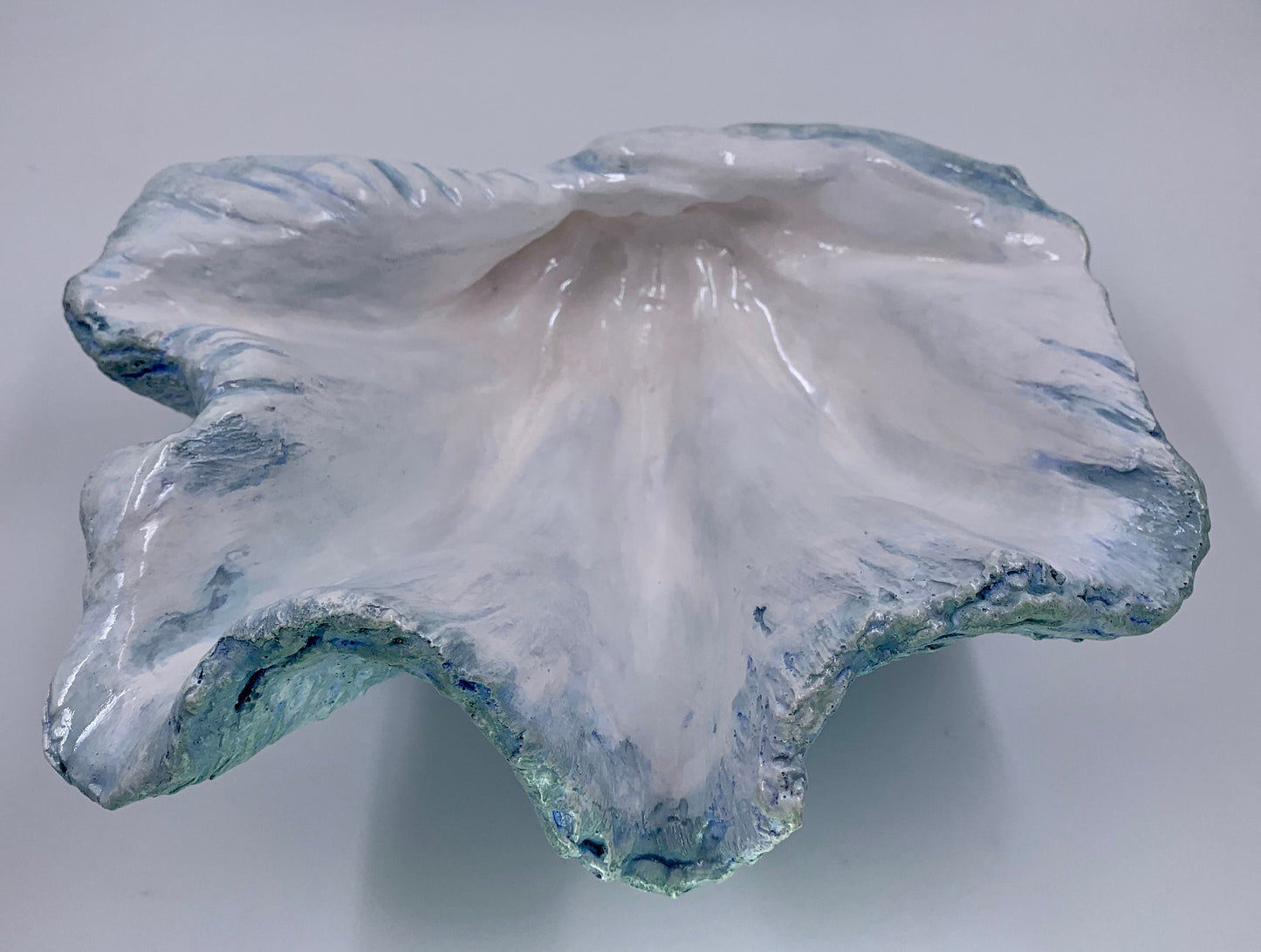 Petite Giant Clam Shell in Duck Egg Blue