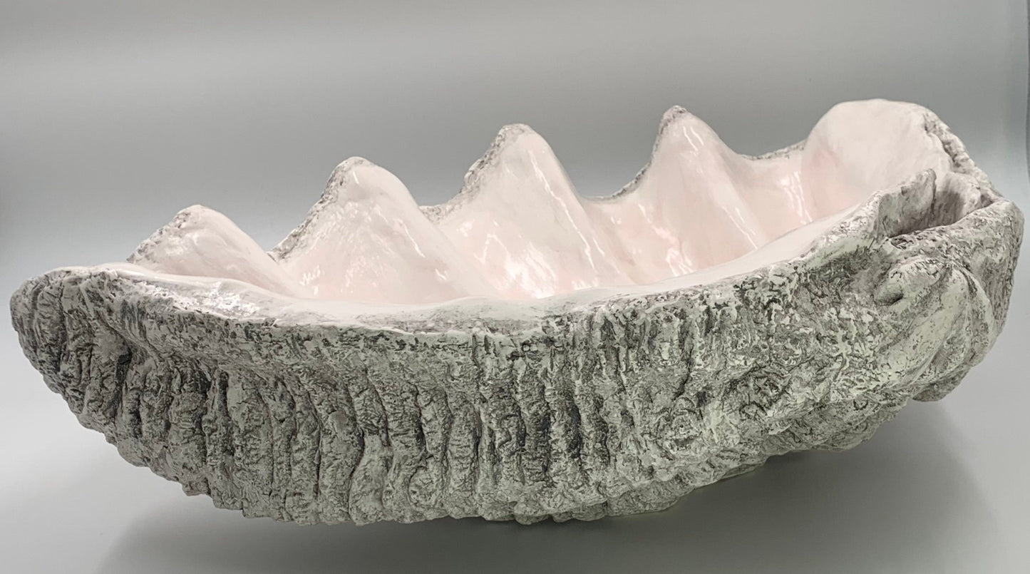 Scalloped Giant Clam Shell in Light Grey
