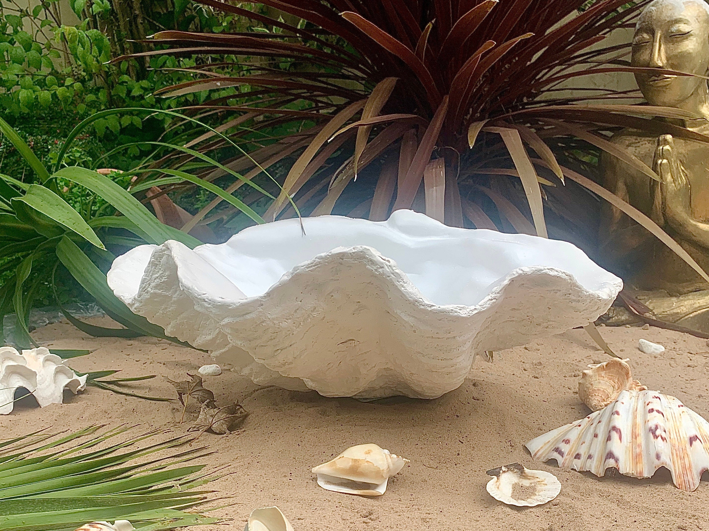 Extra Large Giant Clam Shell in Tobacco – teemorrisshells