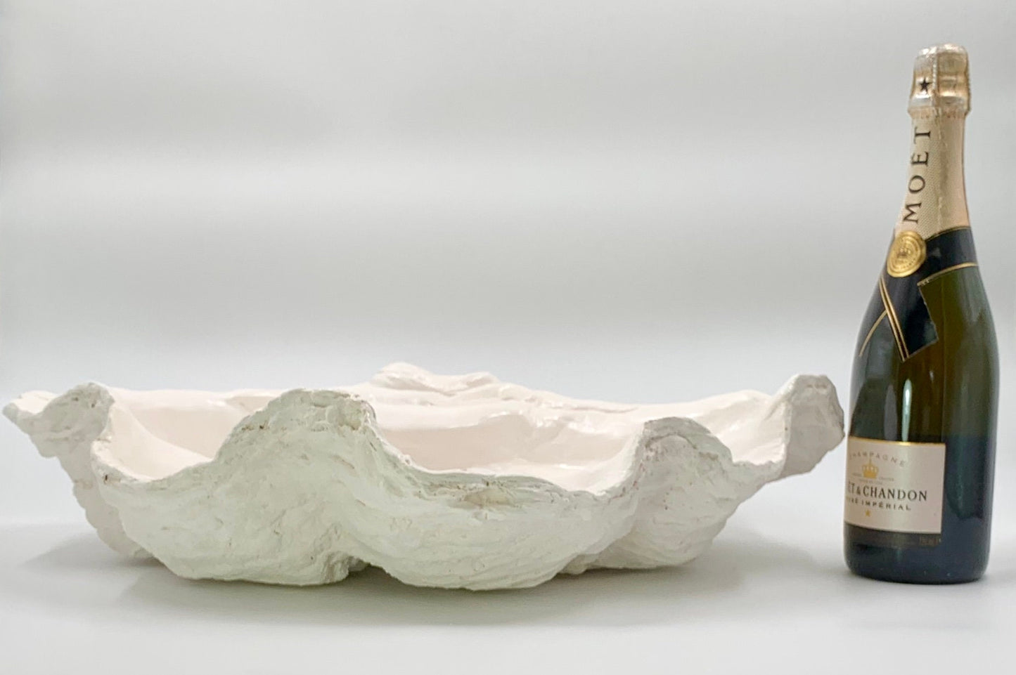 Platter Giant Clam Shell in White