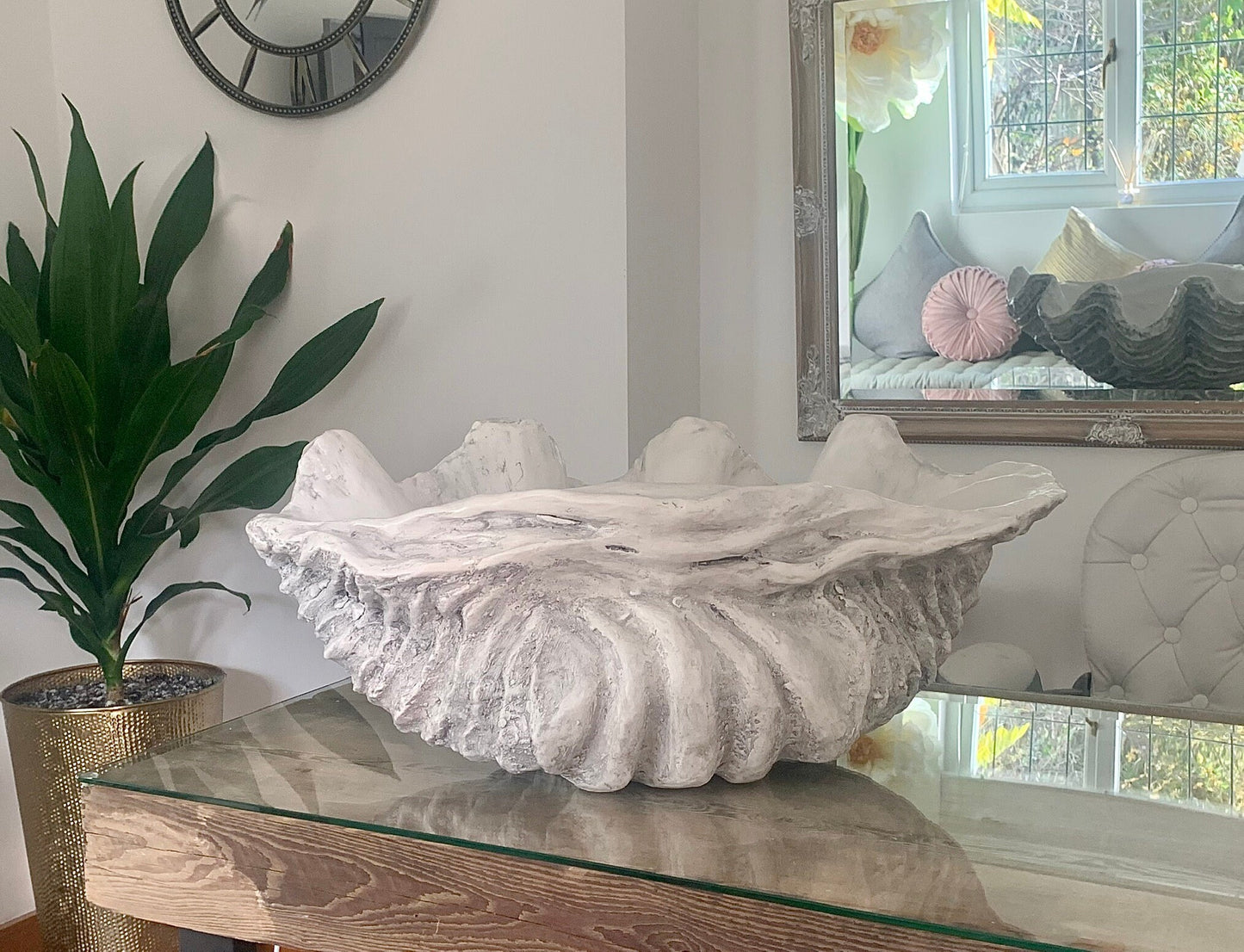 Extra Large Giant Clam Shell in Driftwood Grey