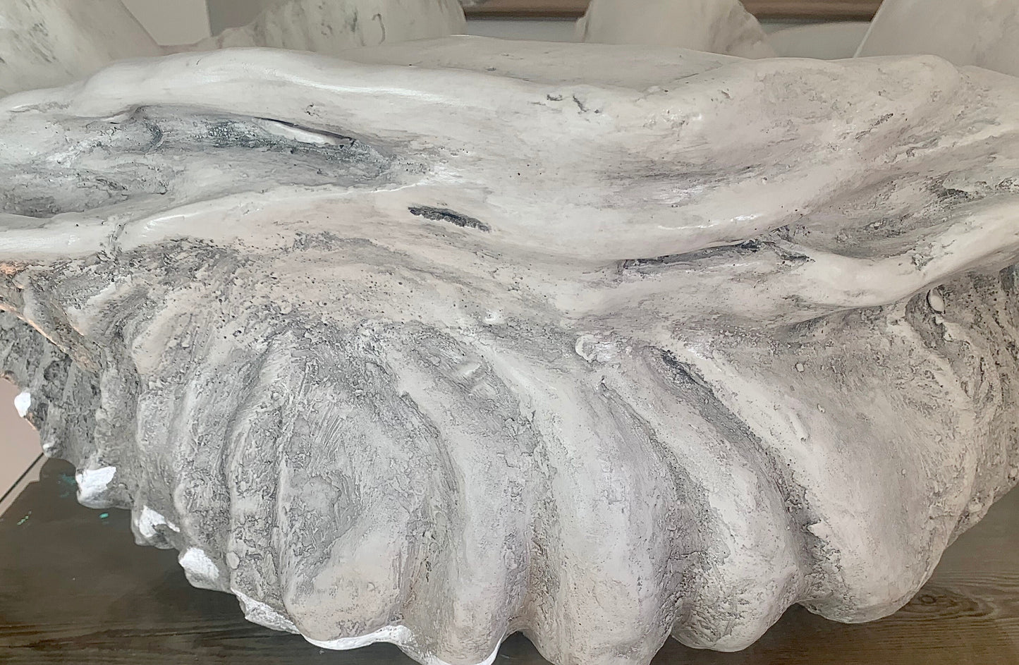 Extra Large Giant Clam Shell in Driftwood Grey