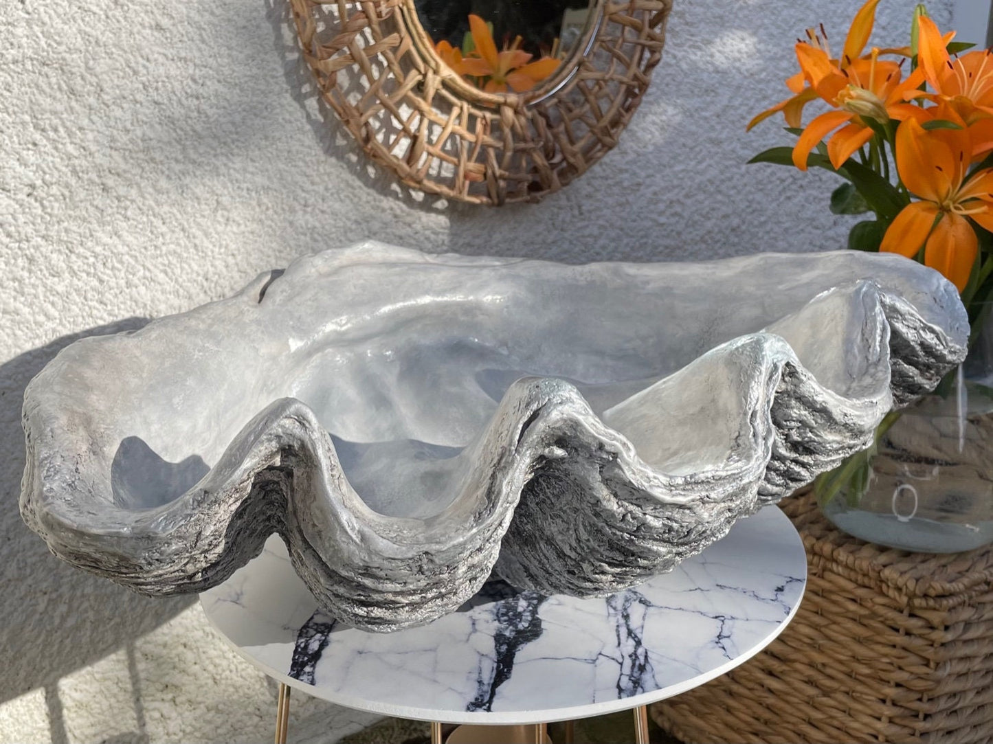 Scalloped Giant Clam Shell Charcoal Grey