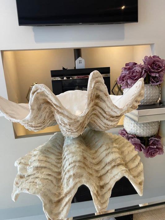 Serenity Giant Clam Shell in Real Sand