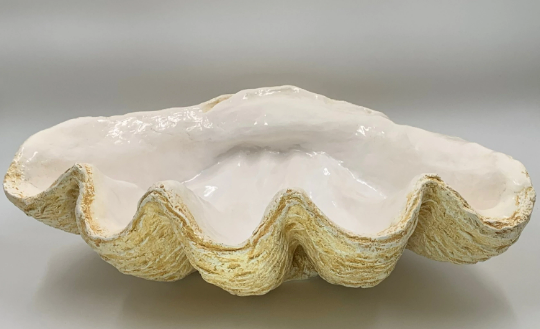 Scalloped Giant Clam Shell in Caramel