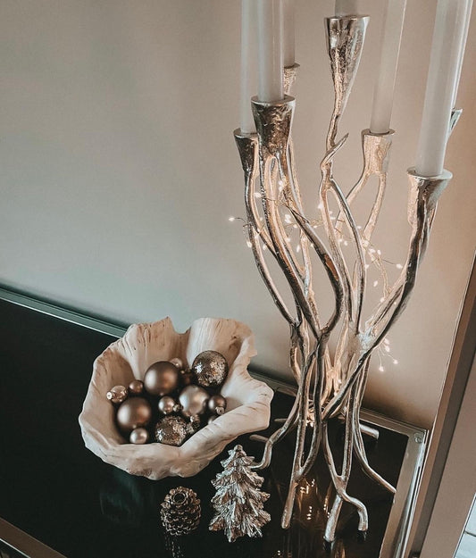 Petite Giant Clam Shell in Contemporary Grey