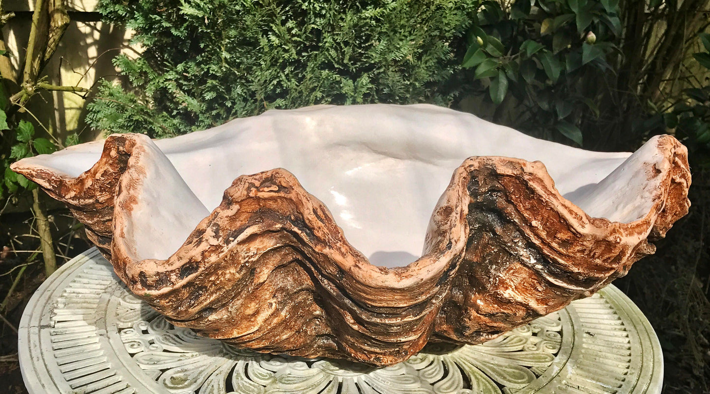 Extra Large Giant Clam Shell in Burnt Umber