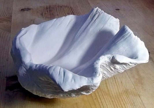 Petite Giant Clam Shell in White