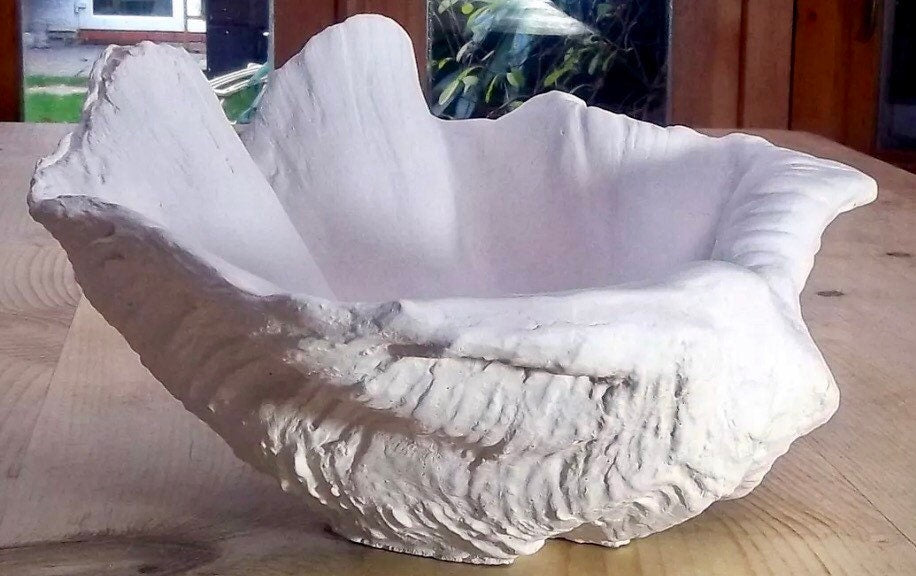 Petite Giant Clam Shell in White