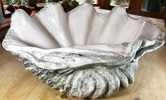 Extra Large Clam Shell in Muted Grey