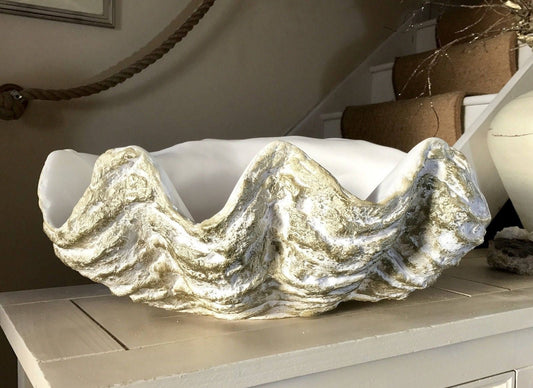 Large Giant Clam Shell in Gold Fleck