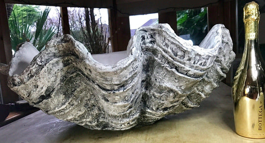 Extra Large Clam Shell in Muted Grey