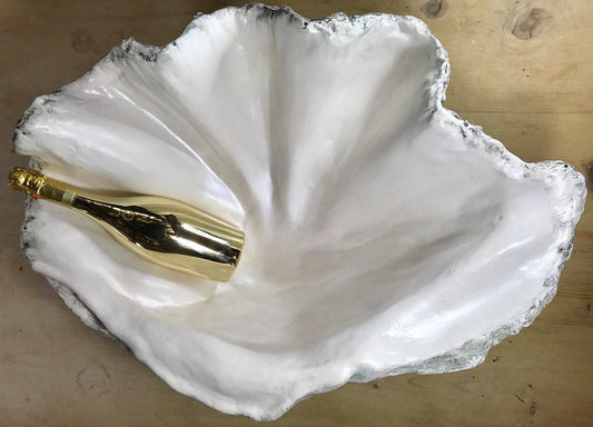 Extra Large Giant Clam Shell in White