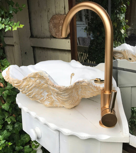 Small Giant Clam Sink in Caramel