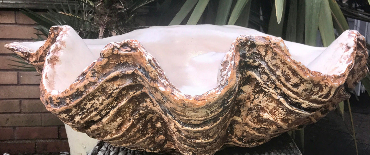 Extra Large Giant Clam Shell in Burnt Umber