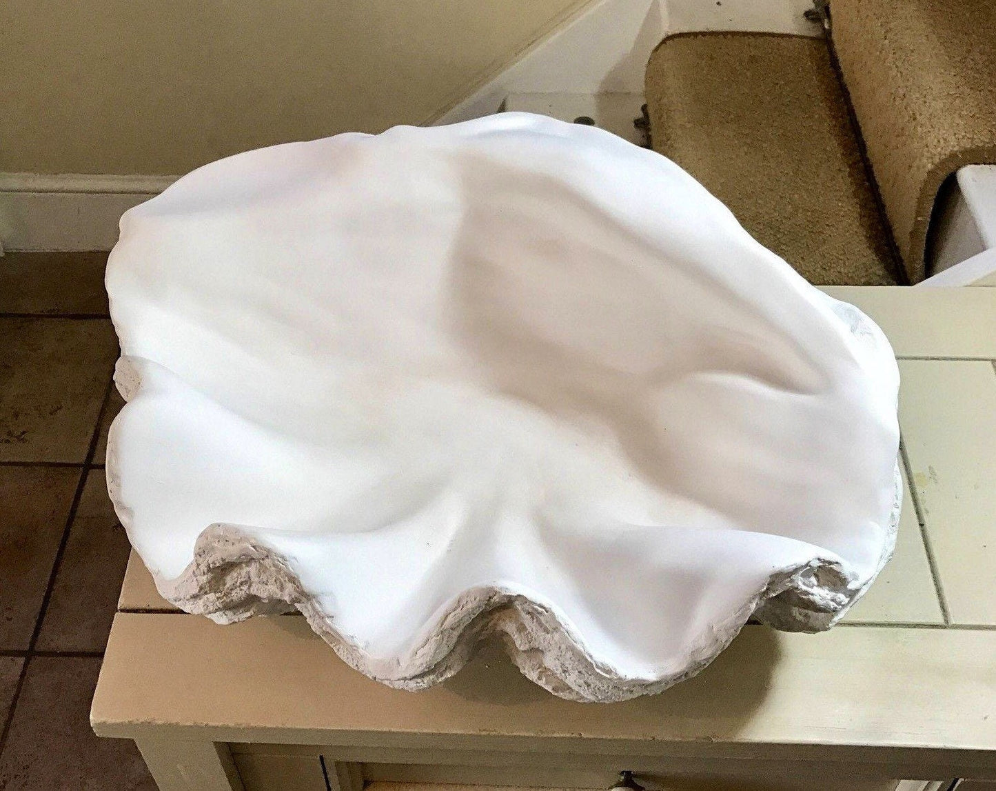 Large Giant Clam Shell in White
