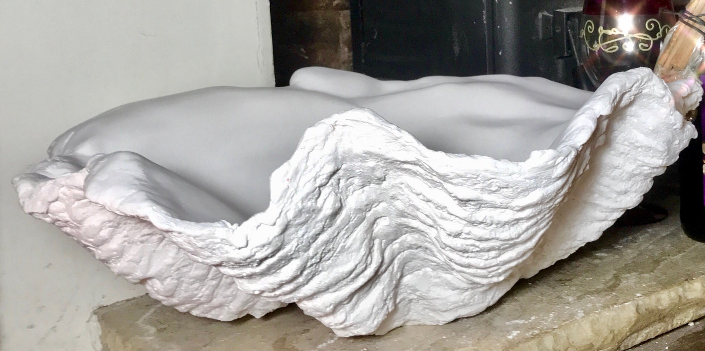 Classic Giant Clam Shell in White