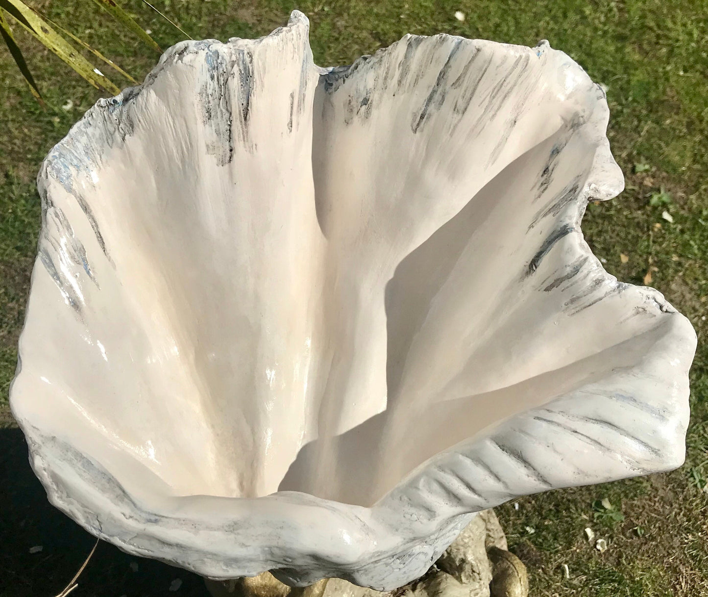 Petite Giant Clam Shell in Driftwood Grey