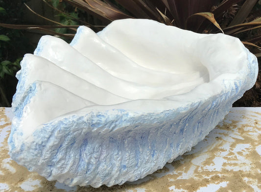 Scalloped Giant Clam Shell in Sky Blue