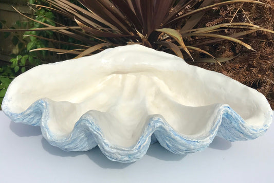 Scalloped Giant Clam Shell in Sky Blue