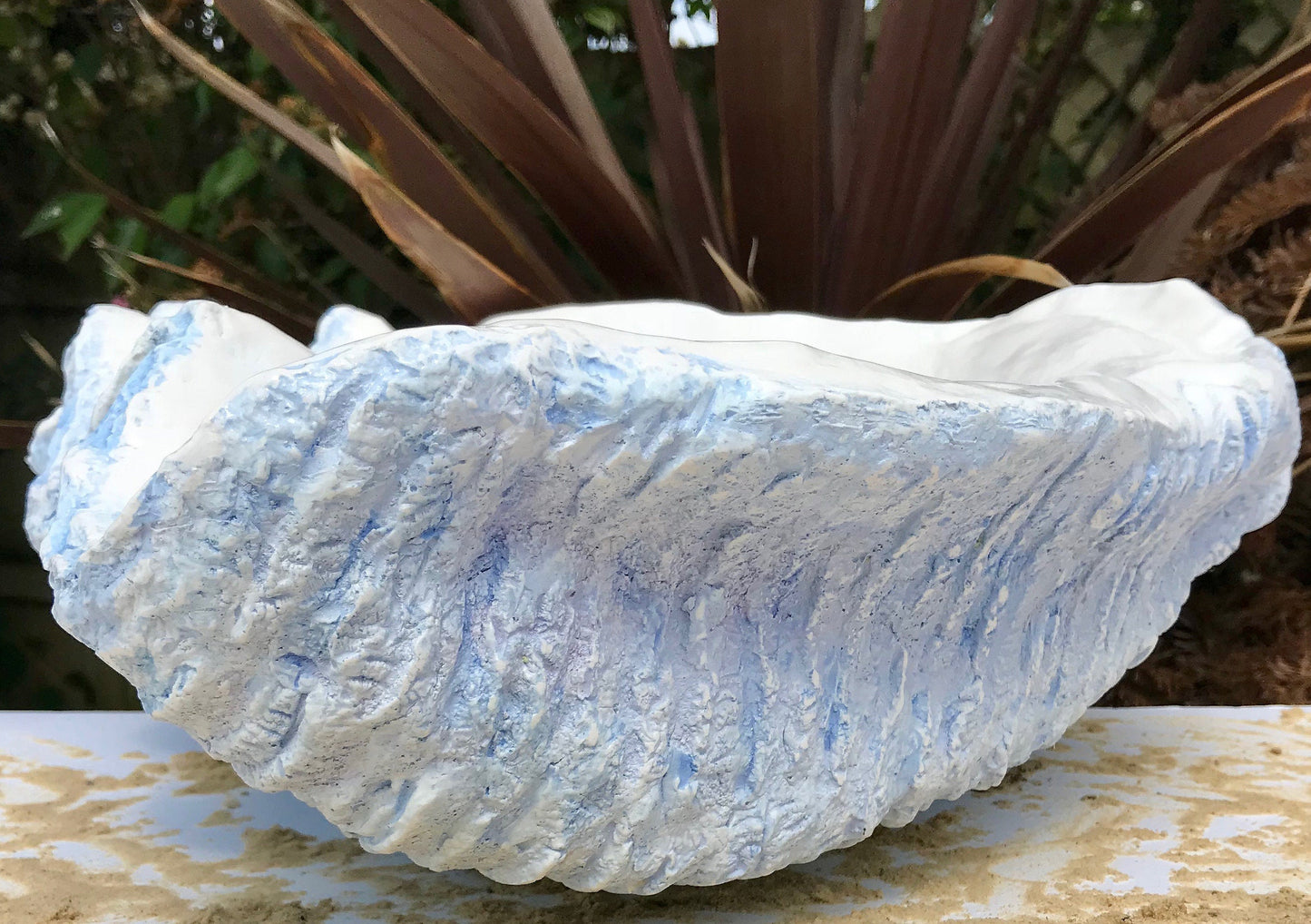 Scalloped Giant Clam Shell in Sky Blue