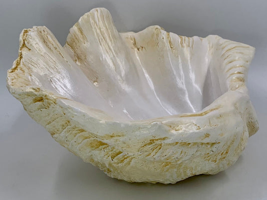 Petite Giant Clam Shell in Caramel