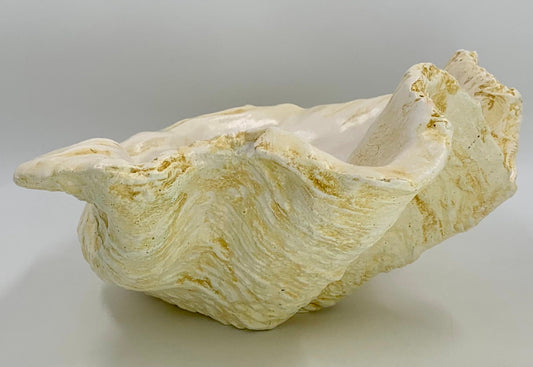 Petite Giant Clam Shell in Caramel