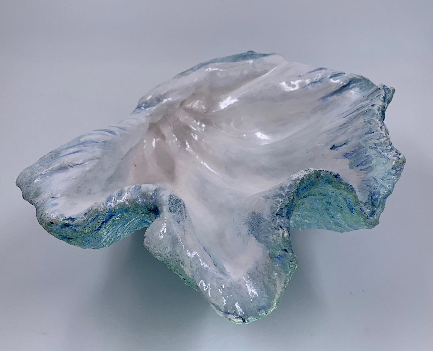 Petite Giant Clam Shell in Duck Egg Blue