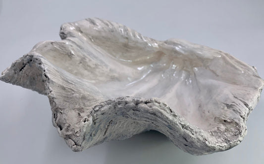 Petite Giant Clam Shell in Contemporary Grey