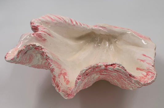 Petite Giant Clam Shell in Pink