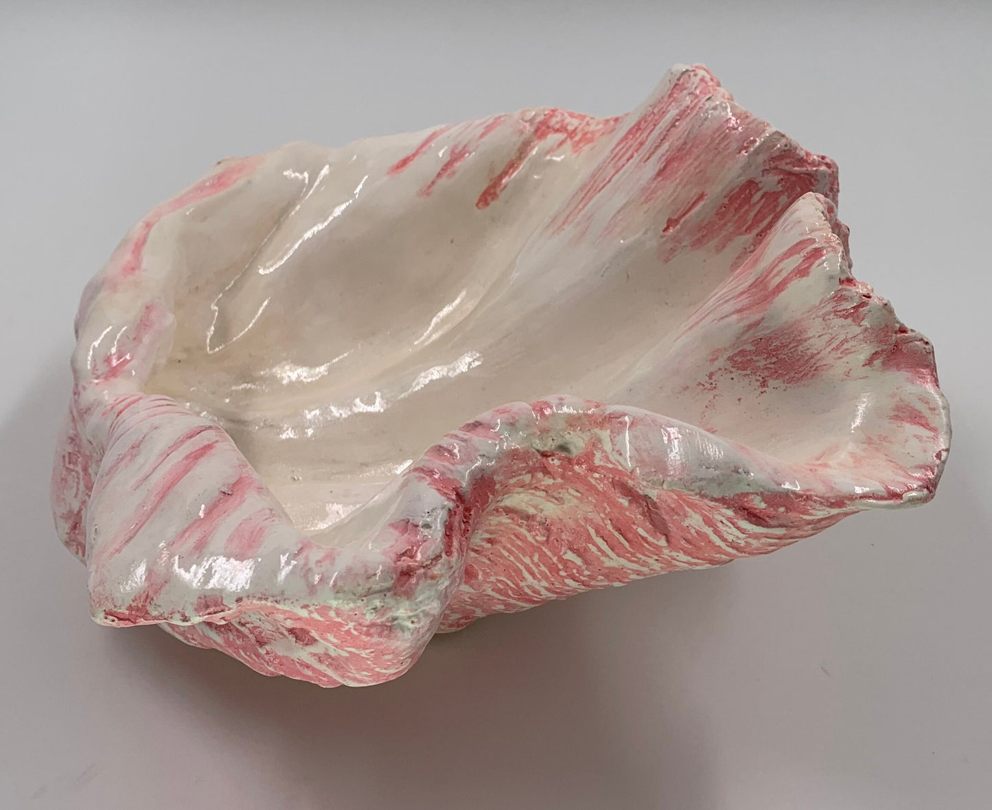 Petite Giant Clam Shell in Pink