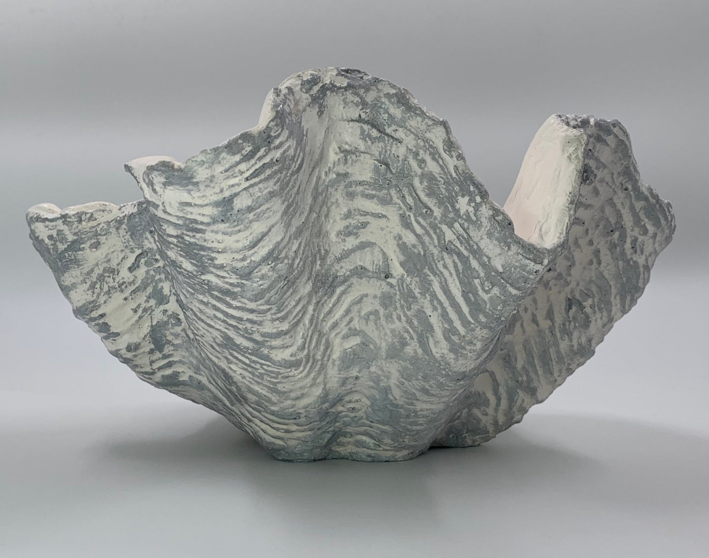 Petite Giant Clam Shell in Silver Fleck