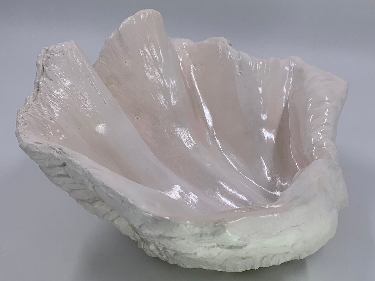Petite Giant Clam Shell in White Shimmer