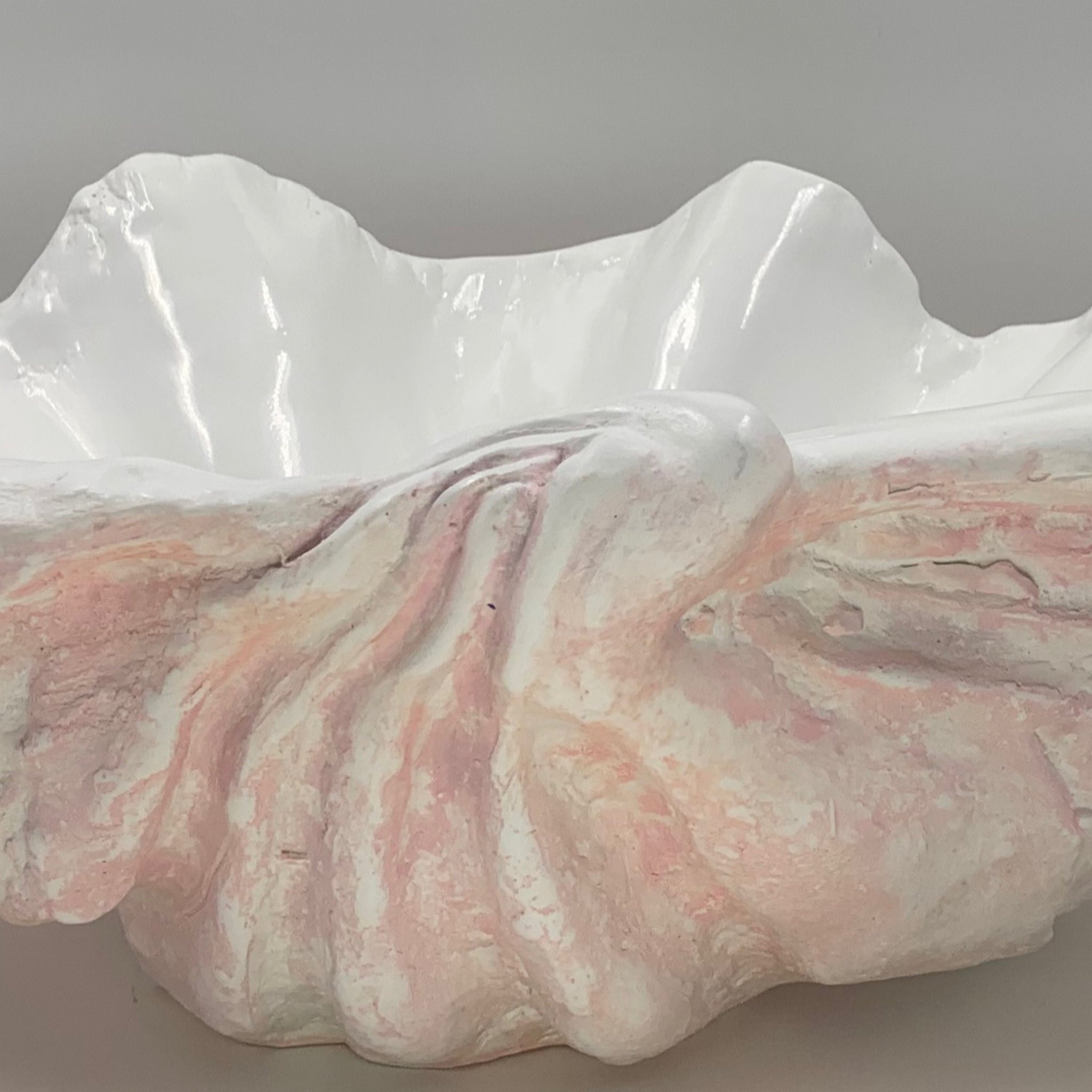 Small Clam Shell Sink in Muted Pink – teemorrisshells