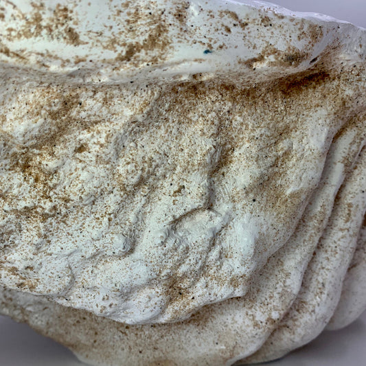 Small Clam Shell Sink in Real Sand